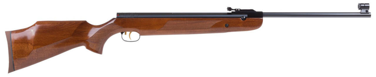 Beeman R9 Break Barrel .22 Air Rifle, Wood
